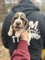 processed/c757272a-a150-4f0c-a519-6eb8a057d3b0/listing/e7b3a98a-39ca-44a8-ab5e-ad3a47fbff79/56fd5dcc-7b5e-4257-9c10-8be4a693e783