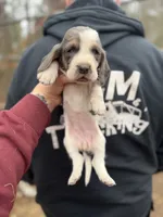 processed/c757272a-a150-4f0c-a519-6eb8a057d3b0/listing/e7b3a98a-39ca-44a8-ab5e-ad3a47fbff79/7333c1dd-a90a-42aa-8598-27891315f9e6