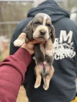 processed/c757272a-a150-4f0c-a519-6eb8a057d3b0/listing/e7b3a98a-39ca-44a8-ab5e-ad3a47fbff79/b22f2ab3-dd4a-4faf-9080-215a82c54367