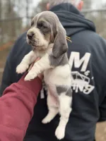 processed/c757272a-a150-4f0c-a519-6eb8a057d3b0/listing/e7b3a98a-39ca-44a8-ab5e-ad3a47fbff79/b31a9464-a4f3-455b-9680-8984d2b48522