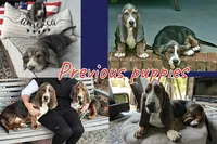 processed/c757272a-a150-4f0c-a519-6eb8a057d3b0/listing/e7b3a98a-39ca-44a8-ab5e-ad3a47fbff79/c0ceca61-7171-42a7-8f3e-53fcc86d7c09