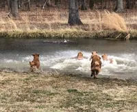 processed/c75a861d-0d76-4e03-b8b6-030b37be579f/facility/199a7005-c59c-46d1-a1b2-2ab9a4e5aaa5