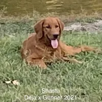 processed/c75a861d-0d76-4e03-b8b6-030b37be579f/facility/338d5966-c52b-4719-bcd1-95fffc3fb3d8