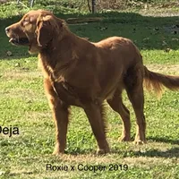 processed/c75a861d-0d76-4e03-b8b6-030b37be579f/facility/434504ec-d416-4d49-a6fb-15d54bc92a86