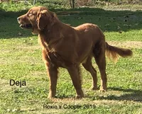 processed/c75a861d-0d76-4e03-b8b6-030b37be579f/facility/434504ec-d416-4d49-a6fb-15d54bc92a86