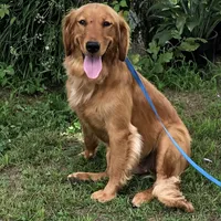 processed/c75a861d-0d76-4e03-b8b6-030b37be579f/facility/749beff9-b761-42be-844a-78d3a3d757aa