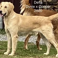 processed/c75a861d-0d76-4e03-b8b6-030b37be579f/facility/7a276af5-131e-4cb3-b32c-de182dfd2321