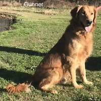 processed/c75a861d-0d76-4e03-b8b6-030b37be579f/facility/8ee5470e-18d1-4c7b-aaa1-d397683f67a6