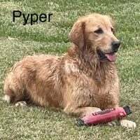 processed/c75a861d-0d76-4e03-b8b6-030b37be579f/facility/9ef89e50-f92f-469b-b068-16061e768618