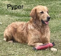 processed/c75a861d-0d76-4e03-b8b6-030b37be579f/facility/9ef89e50-f92f-469b-b068-16061e768618