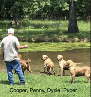 processed/c75a861d-0d76-4e03-b8b6-030b37be579f/facility/c904bef3-6530-46e4-acc1-f1813ede5028