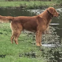 processed/c75a861d-0d76-4e03-b8b6-030b37be579f/facility/e4d797aa-92aa-4d46-b8b5-52bf2b4c42e6