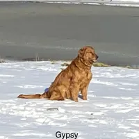 processed/c75a861d-0d76-4e03-b8b6-030b37be579f/facility/f0435255-5179-4b81-9570-97b68ca62237