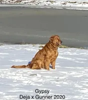 processed/c75a861d-0d76-4e03-b8b6-030b37be579f/facility/f0435255-5179-4b81-9570-97b68ca62237