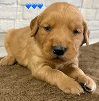 processed/c75a861d-0d76-4e03-b8b6-030b37be579f/listing/2c47ba4d-617f-4aaa-a08a-10a94374ddf7/175a2f4f-fd8b-48a9-8b72-d481753d109c