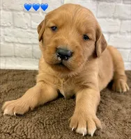 processed/c75a861d-0d76-4e03-b8b6-030b37be579f/listing/2c47ba4d-617f-4aaa-a08a-10a94374ddf7/418b57d8-3219-4219-9eef-b8fb153afebd