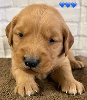 processed/c75a861d-0d76-4e03-b8b6-030b37be579f/listing/2c47ba4d-617f-4aaa-a08a-10a94374ddf7/aec15fd9-e187-4276-911e-db39557fb8b5