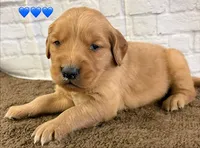 processed/c75a861d-0d76-4e03-b8b6-030b37be579f/listing/2c47ba4d-617f-4aaa-a08a-10a94374ddf7/e2415f05-1d66-4be3-b758-fb45faf885ca