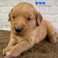 processed/c75a861d-0d76-4e03-b8b6-030b37be579f/listing/2c47ba4d-617f-4aaa-a08a-10a94374ddf7/e8e879e5-d302-410e-9d36-678acb3e9567