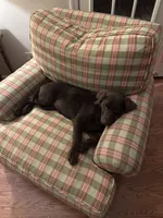 processed/c75ef7ed-10aa-4e08-ab9f-6b7fce9d7e9d/listing/764a73a7-0008-4a87-9d47-cf27b766ec1d/0cf508f7-56b8-4127-b0e9-43a973d8f306