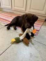 processed/c75ef7ed-10aa-4e08-ab9f-6b7fce9d7e9d/listing/764a73a7-0008-4a87-9d47-cf27b766ec1d/3b1b28a5-10df-4082-a87f-5e5e51d56321