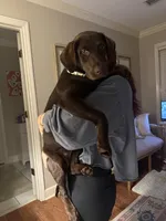 processed/c75ef7ed-10aa-4e08-ab9f-6b7fce9d7e9d/listing/764a73a7-0008-4a87-9d47-cf27b766ec1d/882a54c4-41c1-4f65-8a01-782f7ca42b8d