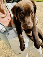 processed/c75ef7ed-10aa-4e08-ab9f-6b7fce9d7e9d/listing/764a73a7-0008-4a87-9d47-cf27b766ec1d/efd93766-4e8c-4ae1-802c-68d92635261b