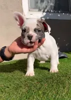 processed/c76577df-1d64-4677-a274-3daeeafabdb4/facility/05fff6a4-3912-4962-bf52-3dabcc5dc32d