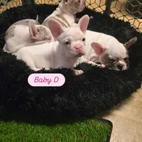 processed/c76577df-1d64-4677-a274-3daeeafabdb4/facility/0d03aafd-85d2-41bb-83e1-7f0c6b3625ea