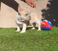 processed/c76577df-1d64-4677-a274-3daeeafabdb4/facility/18a2802e-d48b-44e5-a8c8-49c8e879e0e6