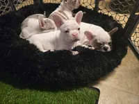 processed/c76577df-1d64-4677-a274-3daeeafabdb4/facility/358f9720-a737-42e3-8035-042ab1c238eb