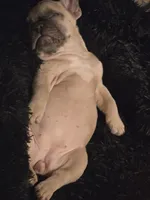 processed/c76577df-1d64-4677-a274-3daeeafabdb4/facility/534d7a27-0678-455c-b25a-56724d34e97e