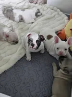 processed/c76577df-1d64-4677-a274-3daeeafabdb4/facility/6cb7ce97-7374-47c8-be92-ec14bc1e3f27