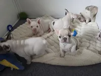 processed/c76577df-1d64-4677-a274-3daeeafabdb4/facility/7dac753d-a793-4584-a65e-eff4482b4262