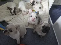 processed/c76577df-1d64-4677-a274-3daeeafabdb4/facility/c2044ee3-4b26-4646-9abf-0878ec563b29