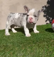 processed/c76577df-1d64-4677-a274-3daeeafabdb4/facility/d0fb7639-afb3-4144-afb5-53b85e8fcafd