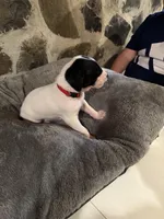 processed/c76c2d7f-bd8a-4afe-bfa9-7460f0794fcc/facility/e8eae41d-2032-4626-8f84-8a2e27962574