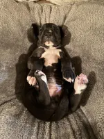 processed/c76c2d7f-bd8a-4afe-bfa9-7460f0794fcc/facility/ed033783-b8ca-471e-b4cb-f6aeceedf585