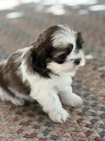 processed/c776590f-d44e-490d-bd3e-574e3ff8ed50/listing/1488f93a-f1b5-4f6e-9058-694bf1ede6c5/192cedcf-9ae4-44a0-8efe-84de39fb4826