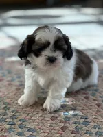 processed/c776590f-d44e-490d-bd3e-574e3ff8ed50/listing/1488f93a-f1b5-4f6e-9058-694bf1ede6c5/6c77ac0f-942a-4300-b01e-d6dc0dd043f5