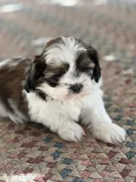 processed/c776590f-d44e-490d-bd3e-574e3ff8ed50/listing/1488f93a-f1b5-4f6e-9058-694bf1ede6c5/e5b39653-9a75-4c25-a71a-f0dc48f1d67d