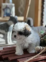 processed/c776590f-d44e-490d-bd3e-574e3ff8ed50/listing/349e48c2-f39a-44bd-affc-9164c39a88da/9cc68e88-0962-401a-9278-ece308ceae0c