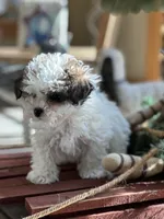 processed/c776590f-d44e-490d-bd3e-574e3ff8ed50/listing/349e48c2-f39a-44bd-affc-9164c39a88da/a8a956c2-2402-4034-8716-3392c271514f