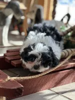 processed/c776590f-d44e-490d-bd3e-574e3ff8ed50/listing/3bfcba54-4f8f-465d-8df3-a957ec063197/61e4c163-2233-490d-8079-8cf2acdd106e