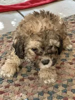 processed/c776590f-d44e-490d-bd3e-574e3ff8ed50/listing/3f25c7f6-dacd-4a8a-8f1d-315cc034307b/53230a6e-b9b4-4dd9-926f-9a34cee5c976