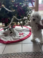 processed/c776590f-d44e-490d-bd3e-574e3ff8ed50/listing/455e17cc-430e-477f-9124-91e74d9d27b4/3b765e9a-974a-40bf-baa8-64e2818d48e3