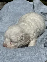 processed/c776590f-d44e-490d-bd3e-574e3ff8ed50/listing/455e17cc-430e-477f-9124-91e74d9d27b4/92ccba2e-93b4-4d47-92f2-845f76b37d16