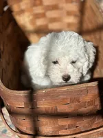 processed/c776590f-d44e-490d-bd3e-574e3ff8ed50/listing/455e17cc-430e-477f-9124-91e74d9d27b4/bb79aa9b-d9ac-48a7-835a-3faa199e3b0d