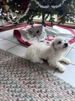 processed/c776590f-d44e-490d-bd3e-574e3ff8ed50/listing/455e17cc-430e-477f-9124-91e74d9d27b4/c37b38f3-5412-4746-9801-8592e057a3f0