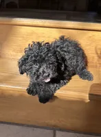 processed/c776590f-d44e-490d-bd3e-574e3ff8ed50/listing/6b71496c-06d1-4173-8c47-eb3d295f3e63/8f7f5f60-ddde-4d10-95ef-d439e9cecd37